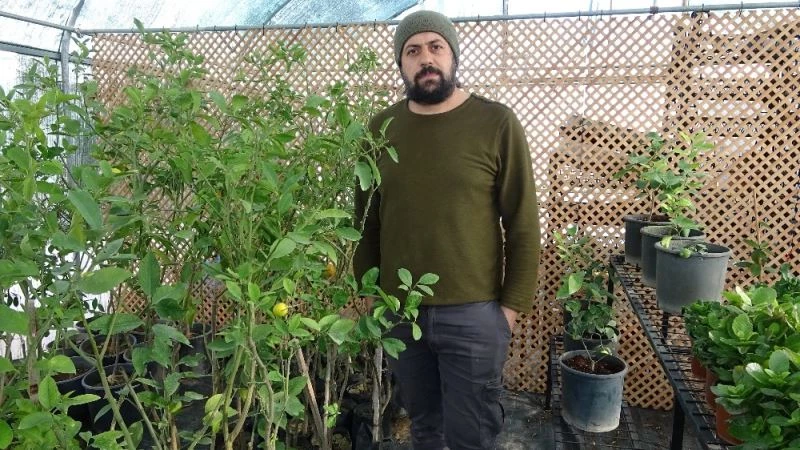 (Özel) Kuraklık bitkilerin kimyasını da değiştirdi
