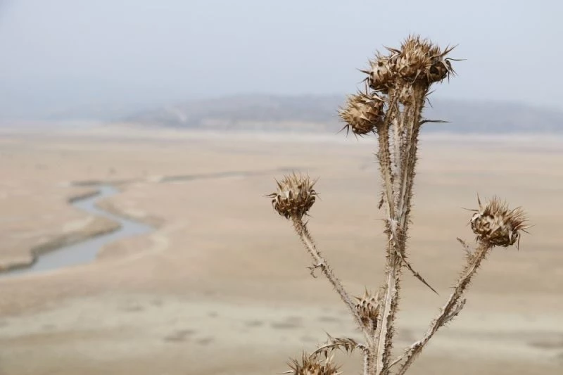 Manisa son 13 yılın en kurak mevsimini yaşıyor
