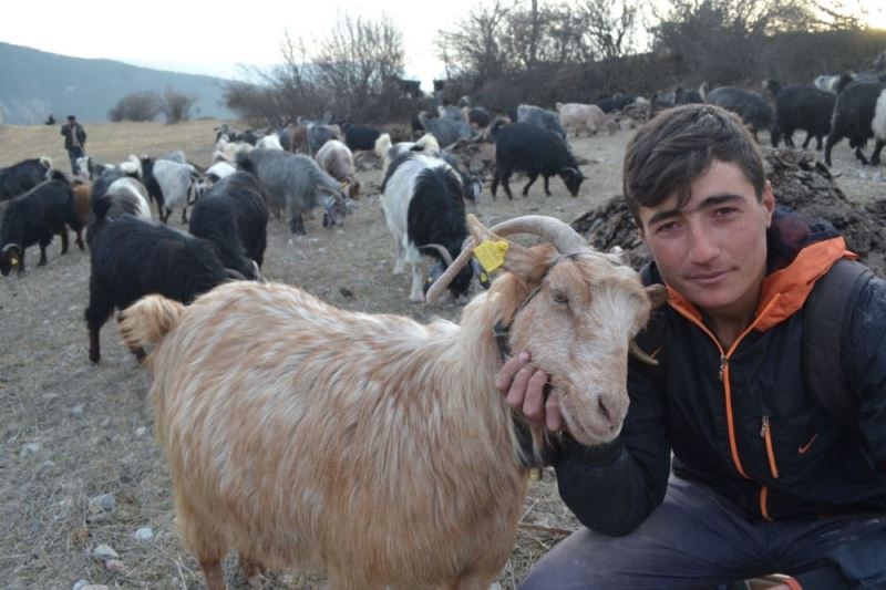 Genç çobanın hedefi veteriner olmak
