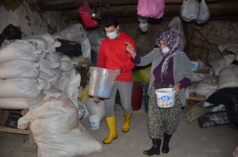 Okullar uzaktan eğitime geçti, İzmirli öğretmen küçükbaş hayvan beslemeye başladı
