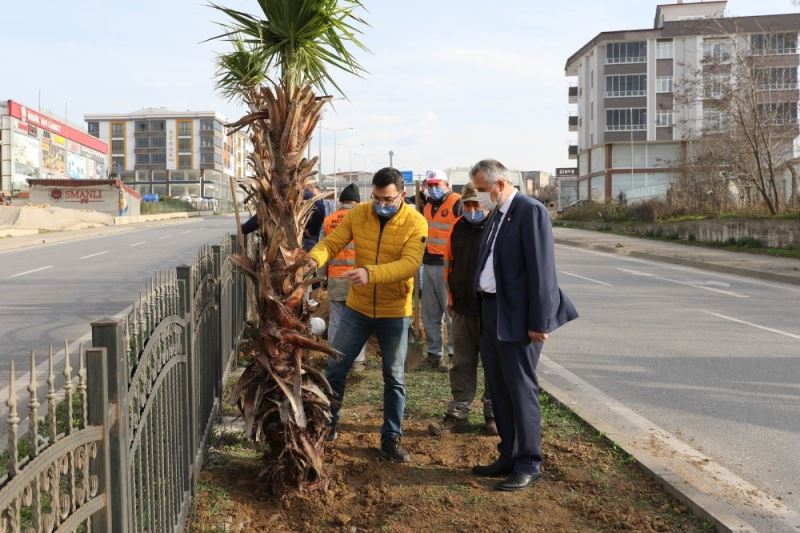 Başkan Kılıç: “İnsanlar Bafra’mızın dış görünümü ile ilgili güzel intibalara sahip olsun istiyoruz”
