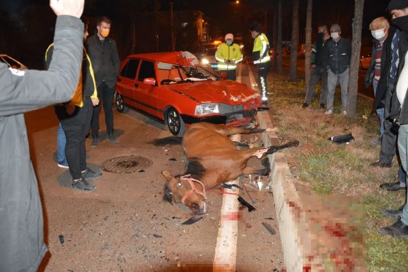 Ahırdan kaçan at, kazada telef oldu
