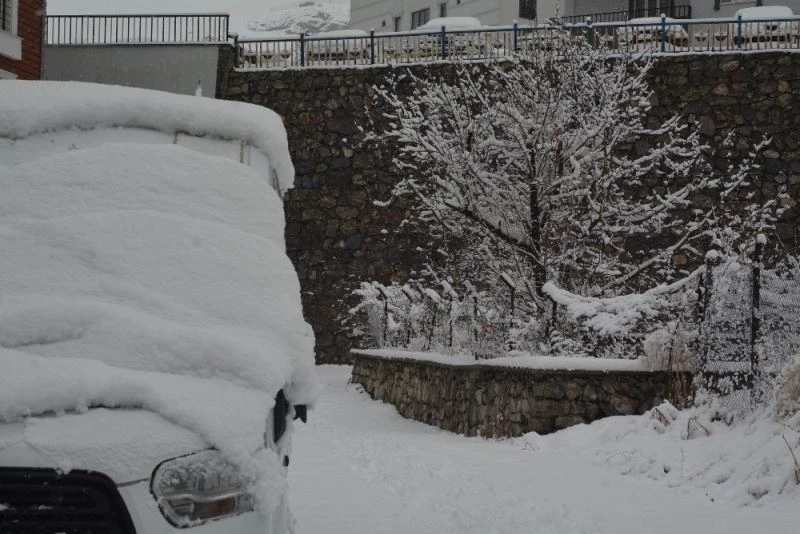 Hakkari’de 289 yerleşim yeri ulaşıma kapandı
