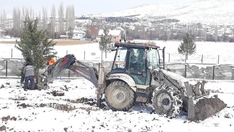 Kar yağışı ağaç dikmeye engel olmadı
