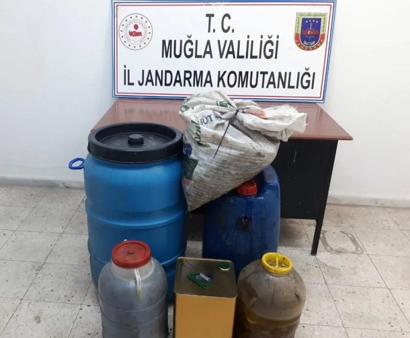 Zeytin hırsızını JASAT yakaladı
