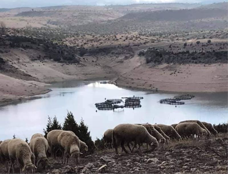 Çavdarhisar baraj göletinde su seviyesi azaldı
