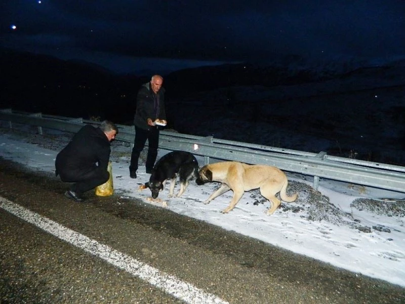 Hayvan sevgisi dağlardaki hayvanları da doyuruyor
