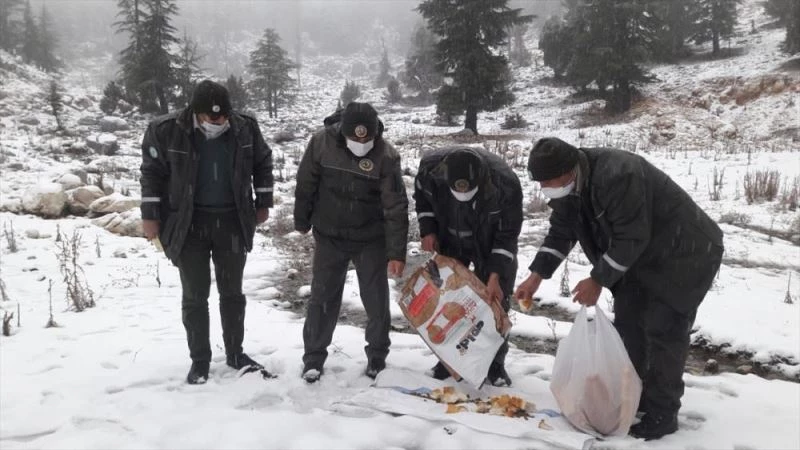 OSMANİYE’DE YABAN VE SOKAK HAYVANLARI İÇİN DOĞAYA YEM BIRAKILDI