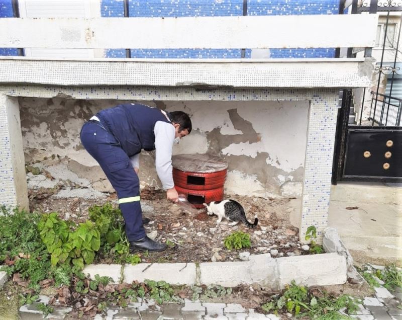 Tekirdağ sokaklarındaki canlar unutulmadı
