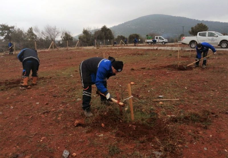 Muğla Büyükşehir’den “Hortikültürel terapi” alanı
