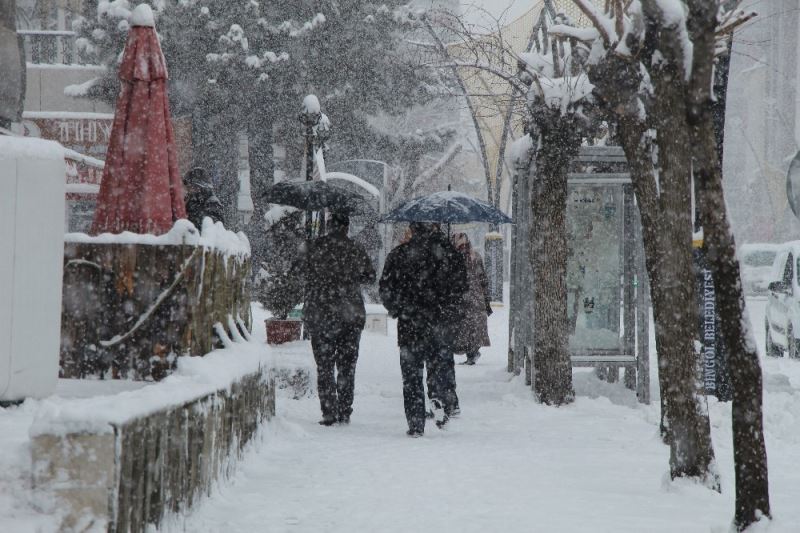 Bingöl’de kar esareti başladı, 281 köy yolu ulaşıma kapandı
