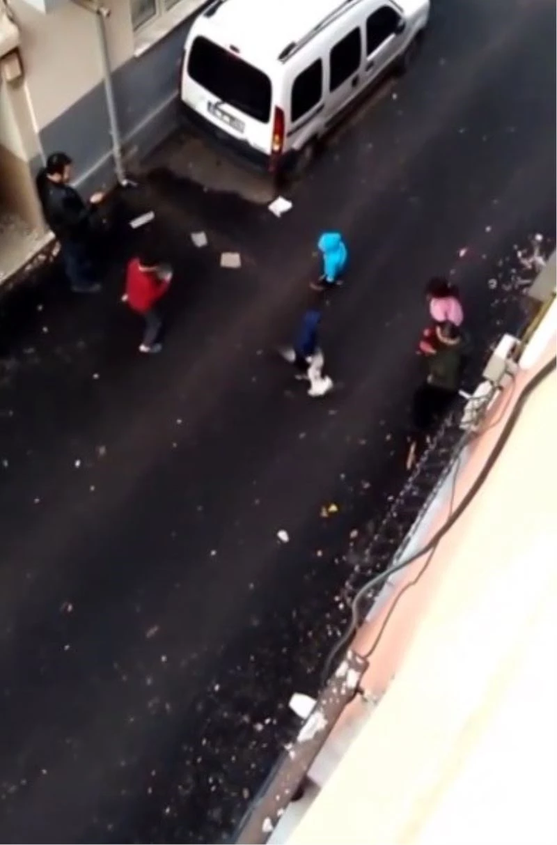 Kediler kavga etti ortada kalan çocuk ne yapacağını şaşırdı
