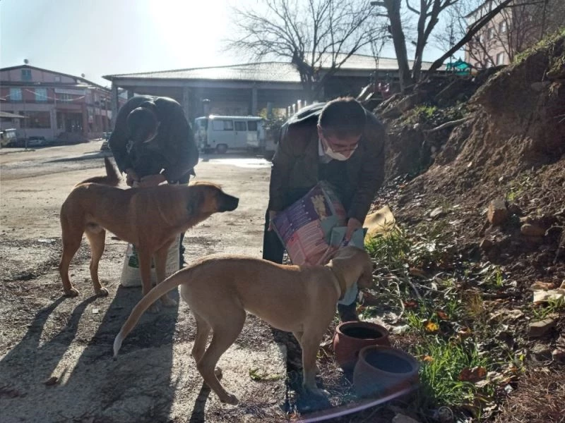 Karacasu’da Başkan İnal can dostları unutmadı
