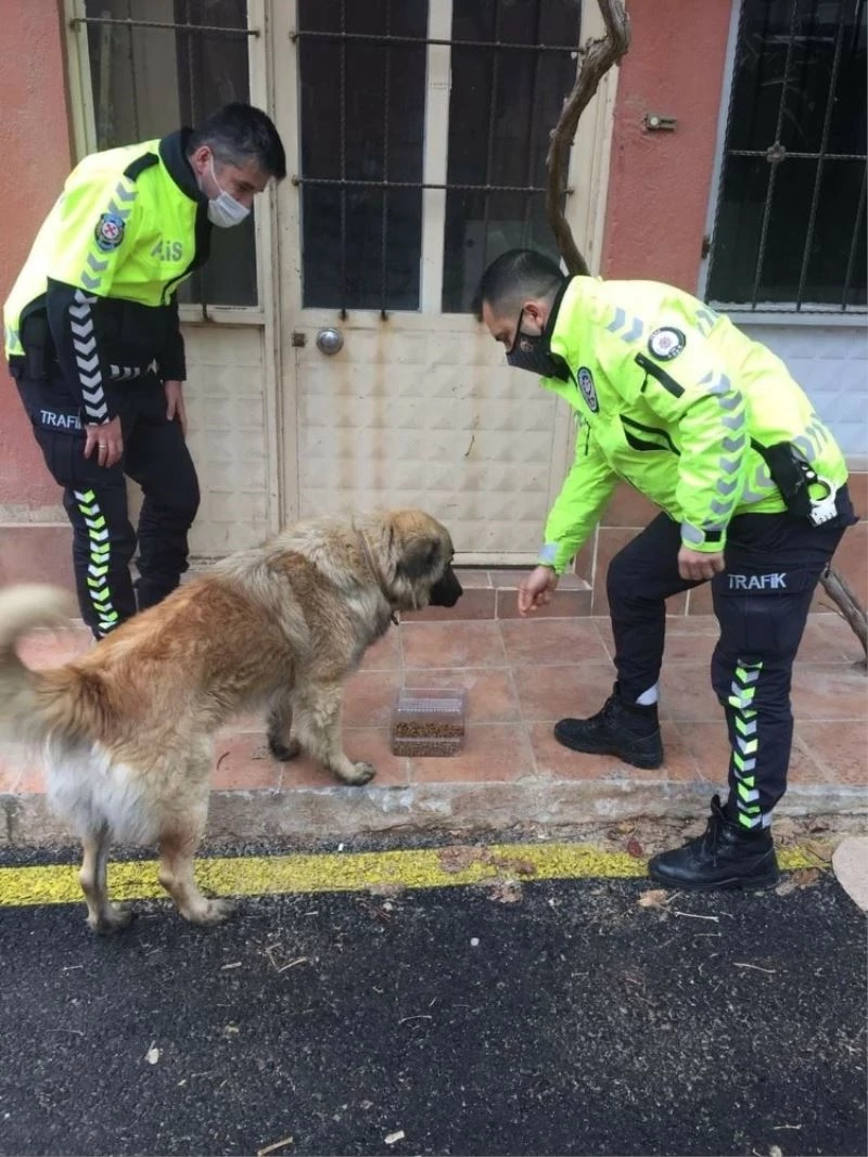 Eşme’de sokak hayvanları beslendi
