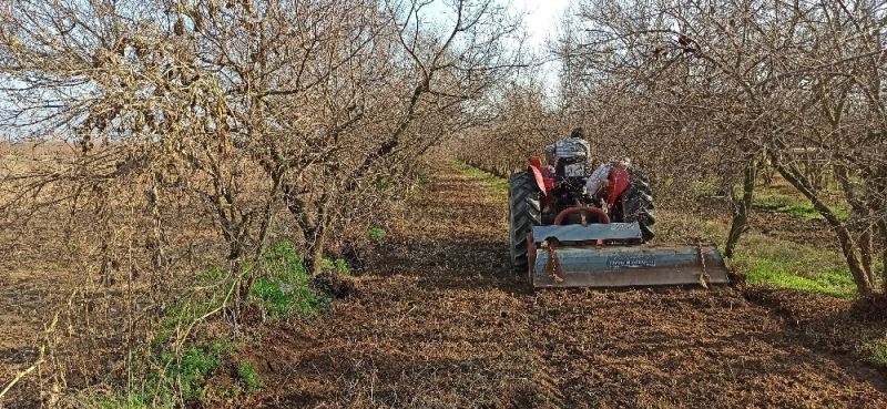 İzmir’de kısıtlamaya rağmen tarlalarda üretim devam etti
