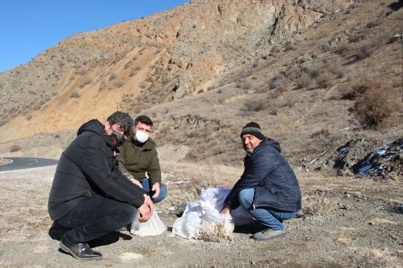 Oltulu hayvan severler doğadaki kuşlara yem bıraktılar
