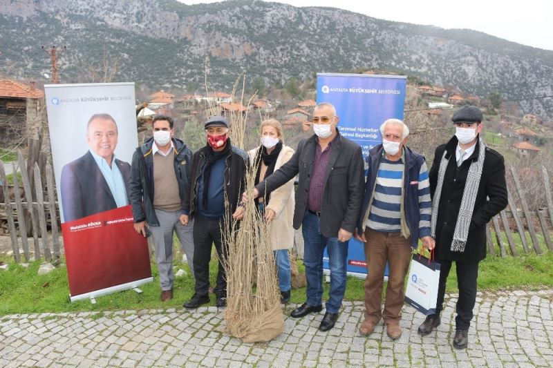 İbradı ipekböcekçiliği ile tanışıyor
