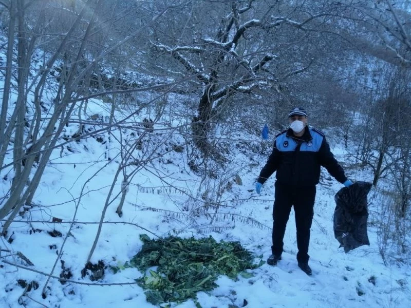 Pazar artıkları yaban hayvanlarına yem oldu
