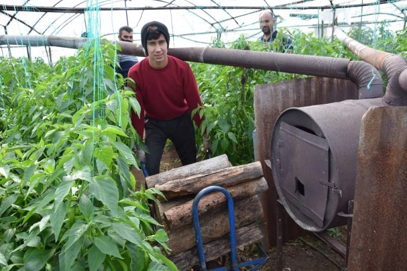 Antalya’da üreticinin meşakkatli don nöbeti

