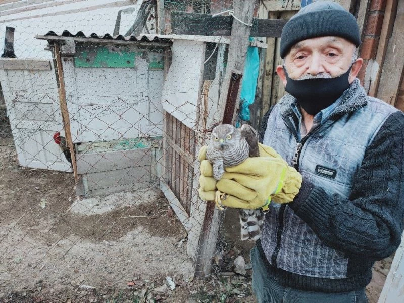 Girdiği kümes atmacanın sonu oluyordu
