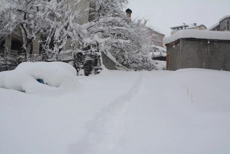 Hakkari’de 328 yerleşim yerinin yolu kapandı
