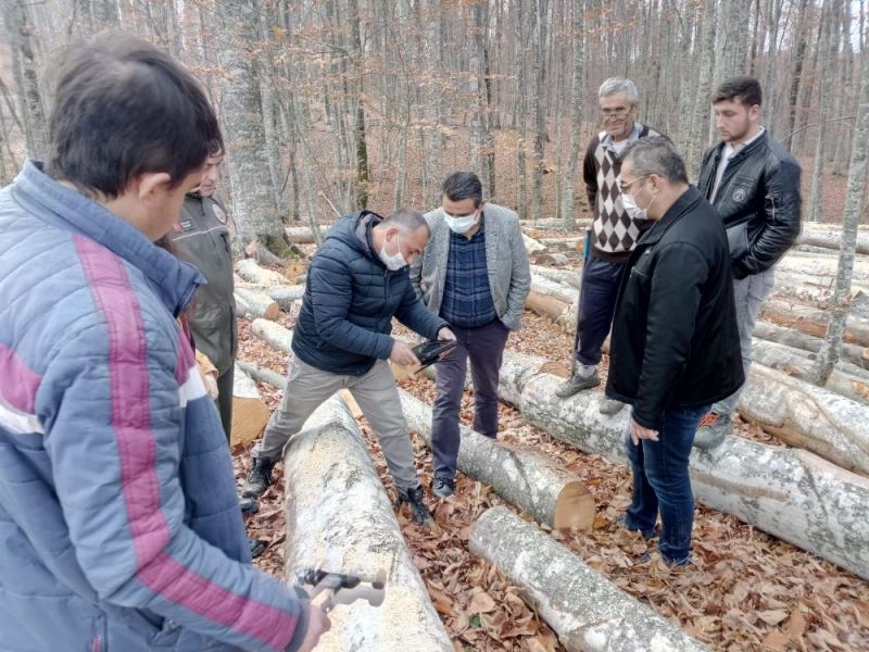 Orman İşletmesi Mustafakemalpaşa’ya nefes oldu
