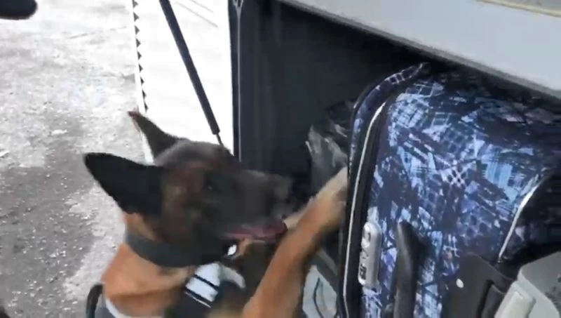 Yolcu otobüsündeki kargodan 38 kilo 550 gram uyuşturucu çıktı
