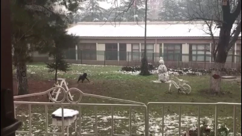 Buzda kayan araç kameralara yansıdı
