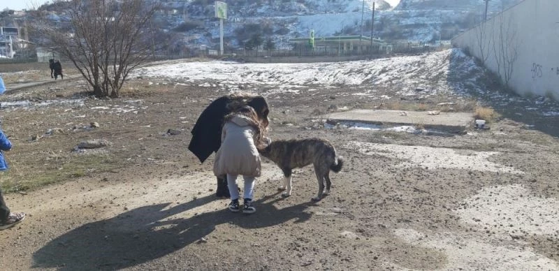 Miniklerden hayvan barınağına ziyaret
