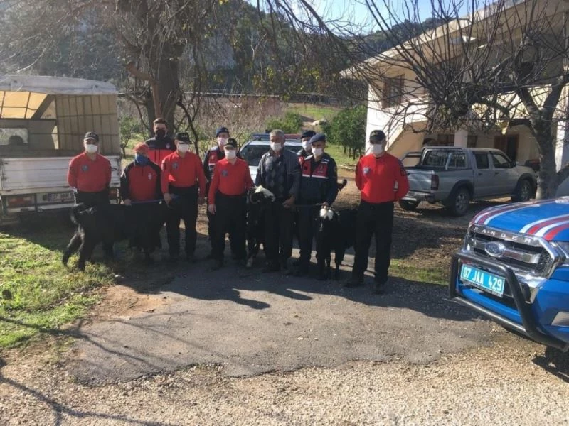 Uçurum kenarında mahsur kalan keçileri jandarma kurtardı
