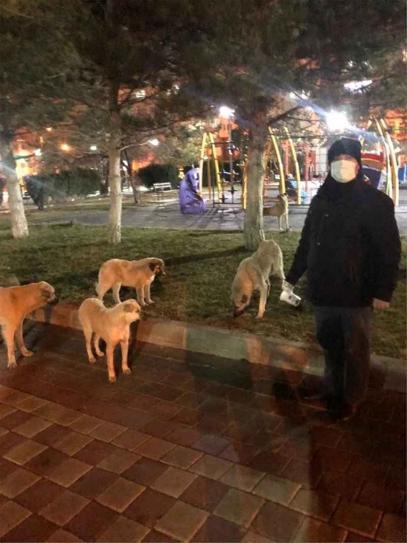 Yerköy’de gönüllüler sokak hayvanlarını besliyor
