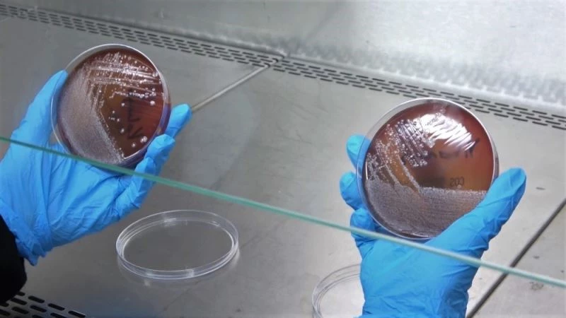 Yıkanan veya kolonya sıkılan maskede korkutan sonuç
