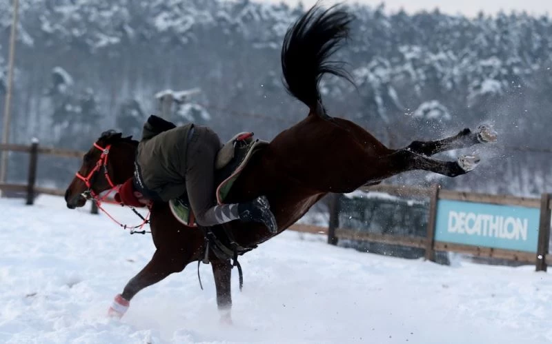 (Özel) Atların kar banyosu keyfi
