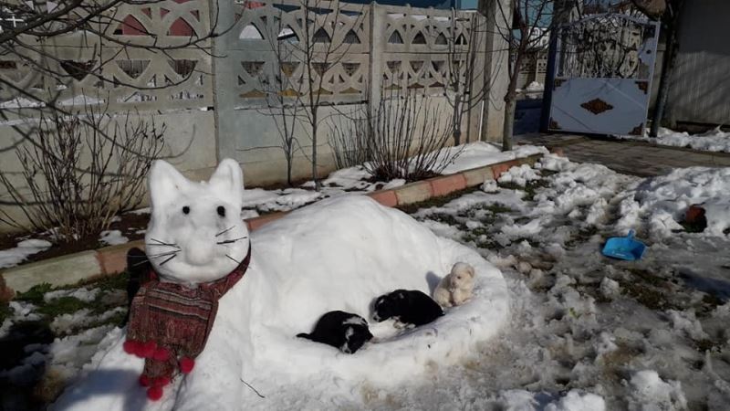 Kar birikintileri ile ’kardan kedi’ yaptılar
