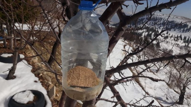 Doğadaki hayvanlara yemlik
