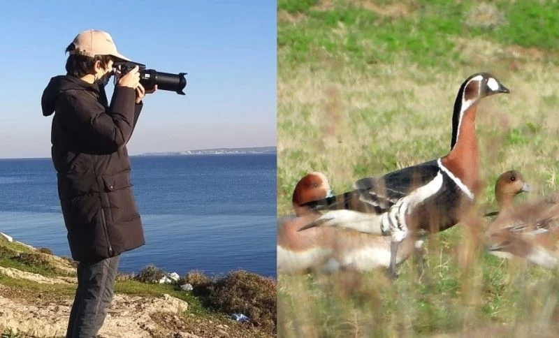 Sibirya kazı yıllar sonra Hersek lagününde görüldü
