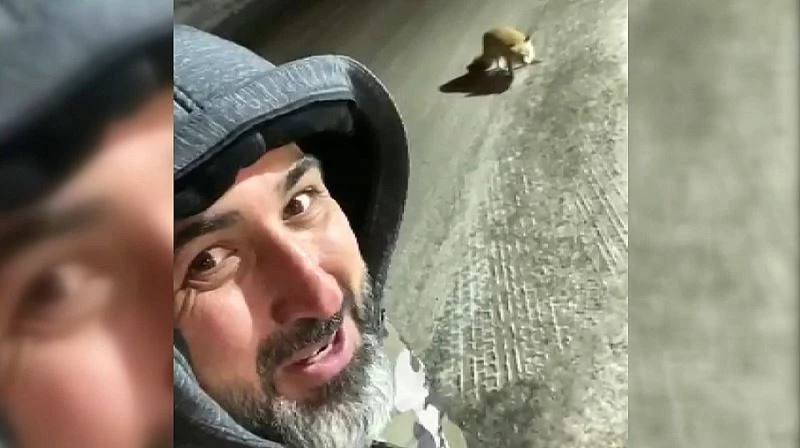 Et dolu aracın yanında aç tilkinin karnını doyurdu özçekim yaptı
