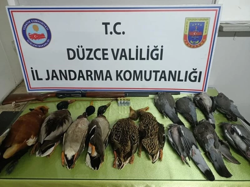 Düzce’de avladığı 13 kuşla yakalanan şahsa 13 bin TL ceza
