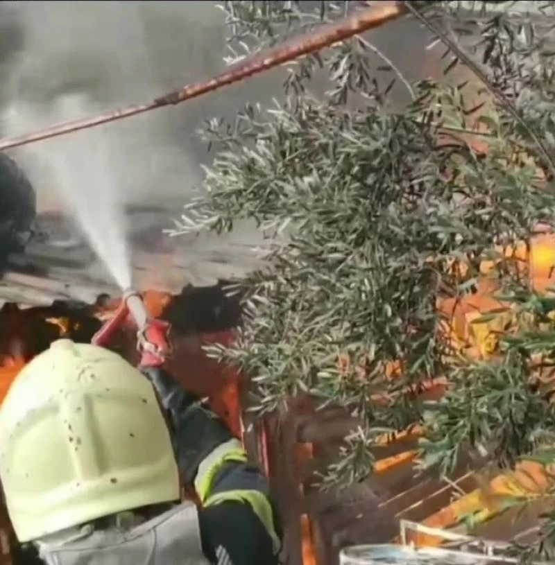 Kışlıklarının yanışını gözyaşlarıyla izledi
