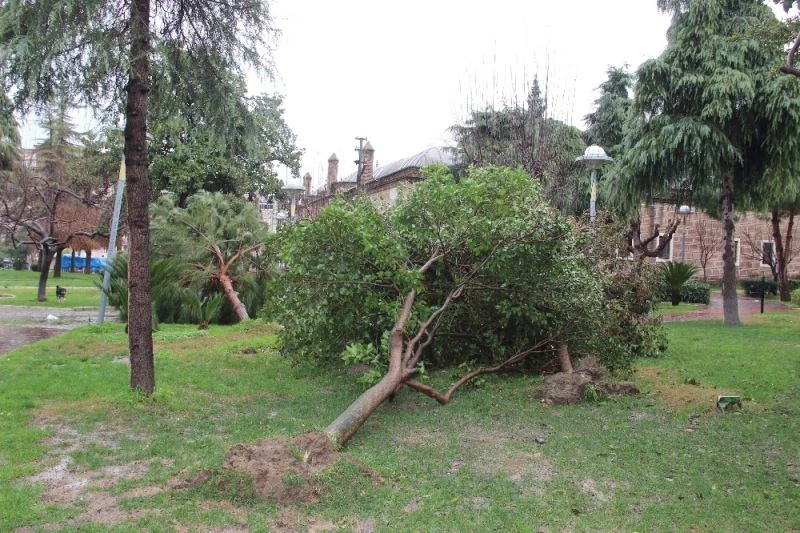 Manisa’daki fırtınanın hasarı gün ağarınca ortaya çıktı
