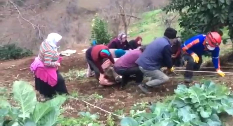 Uçurumun kenarında kalan inek uzun uğraşlar sonucu kurtarıldı
