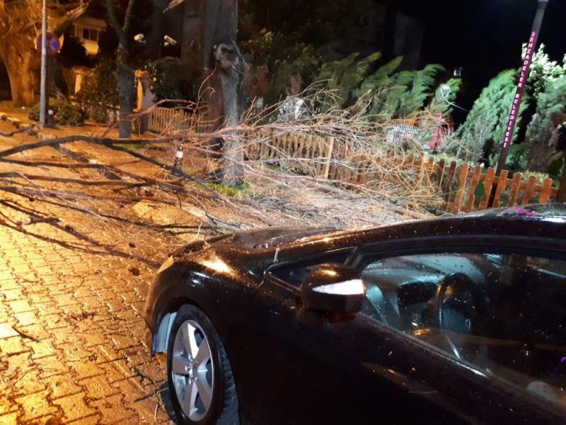 Manisa’da fırtına ağaçları devirdi çatıları uçurdu
