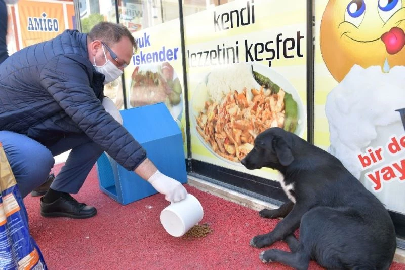 Çiğli Belediyesi veterinerlik hizmetlerinde rekor artış
