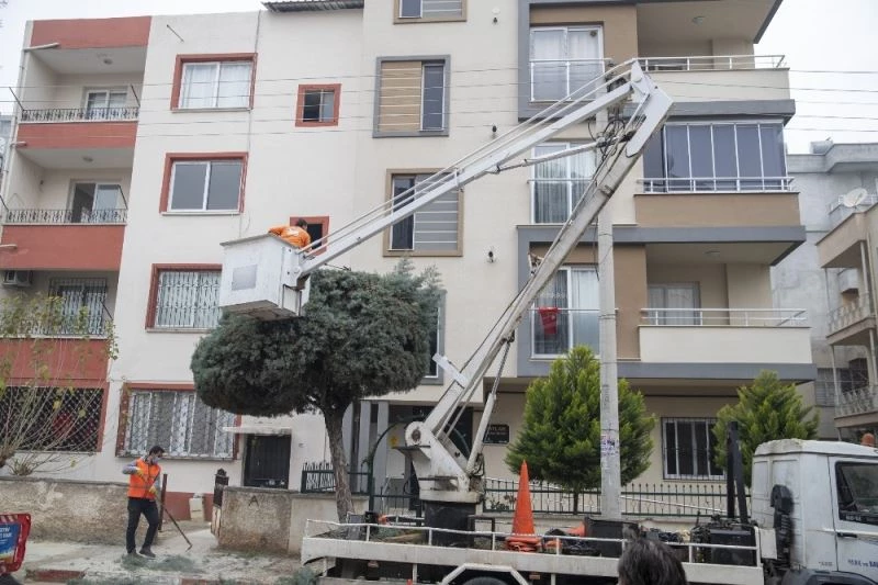 Araçları kaldırıp ağaçları budadılar
