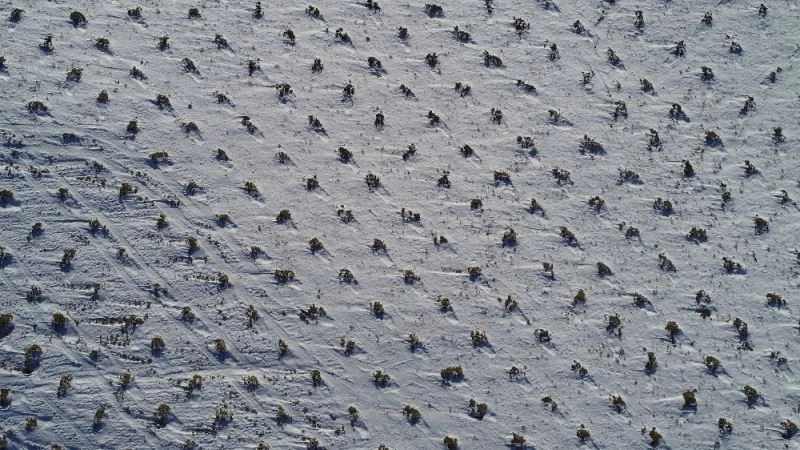 Türkiye’nin en büyüğü olacak, kollar sıvandı

