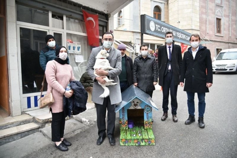 Vefalı köpek ‘Boncuk’ kulübesine kavuştu
