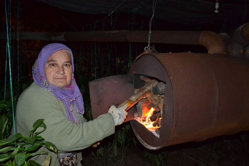 Zirai don uyarısı kadın üreticileri de uyutmadı
