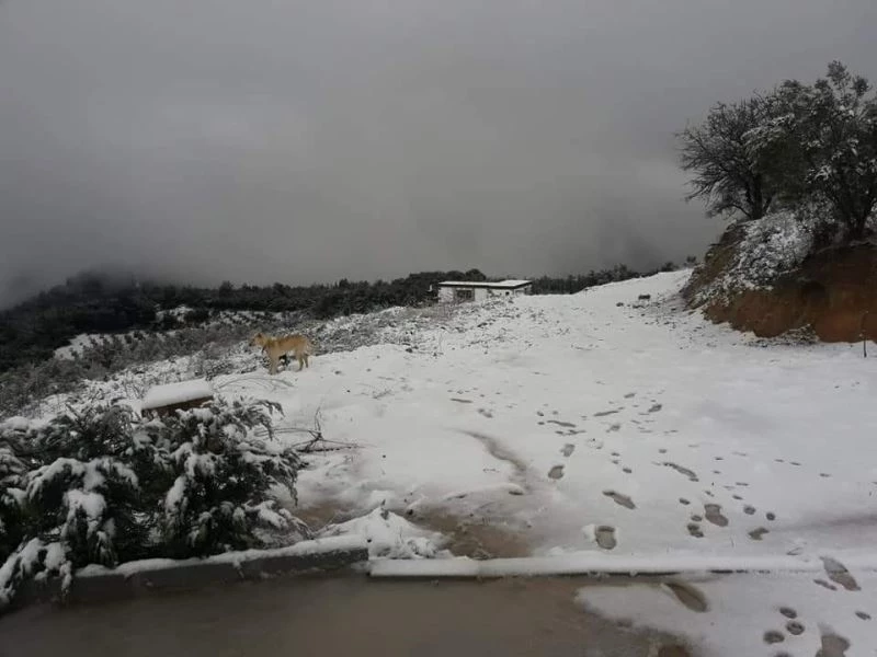 Kuşadalılar, kar görmek için yüksek kesimlere akın etti
