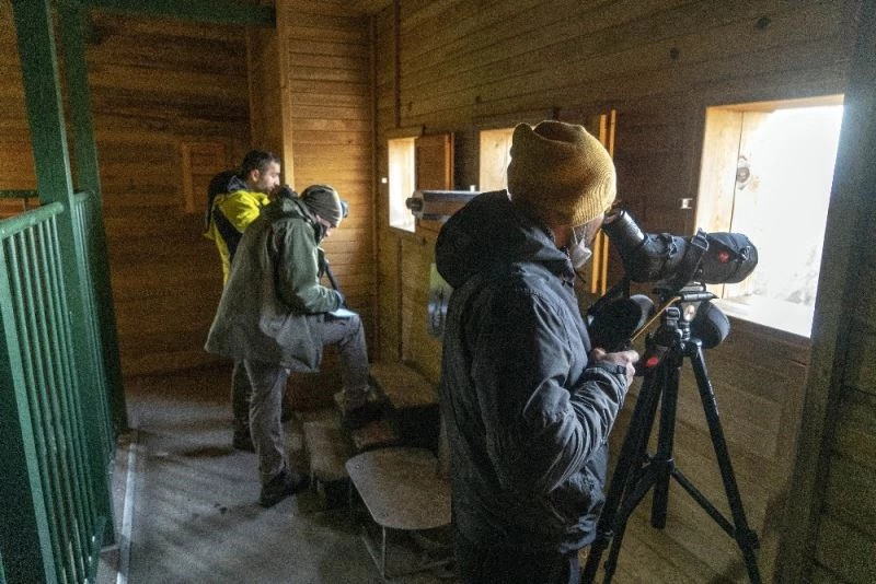 Balıkesir’de kış kuş sayımı
