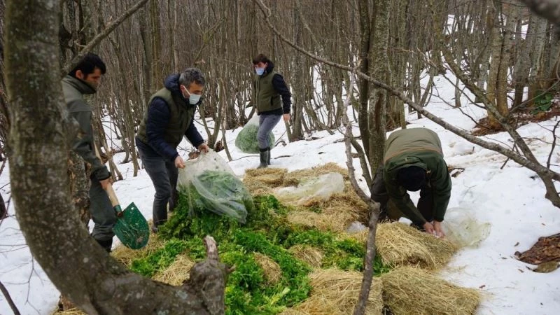 Pazar artıkları hayvanlara yem oluyor
